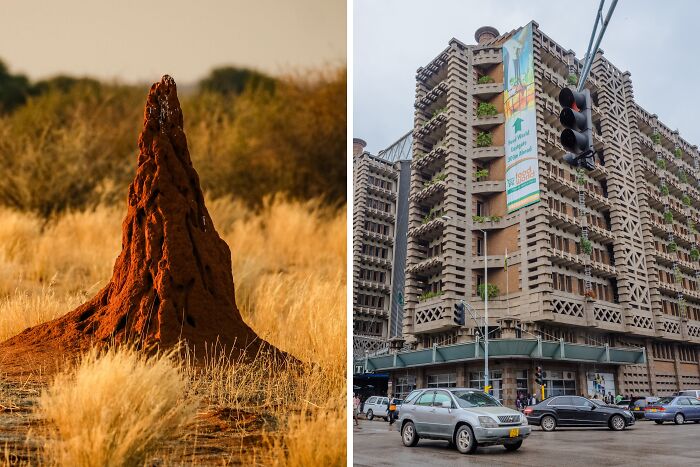 Nature-inspired object: a tall termite mound surrounded by dry grass in a savanna landscape.