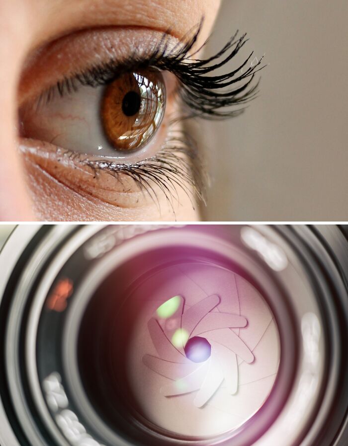 Close-up of a human eye with long lashes reflecting nature-inspired patterns.