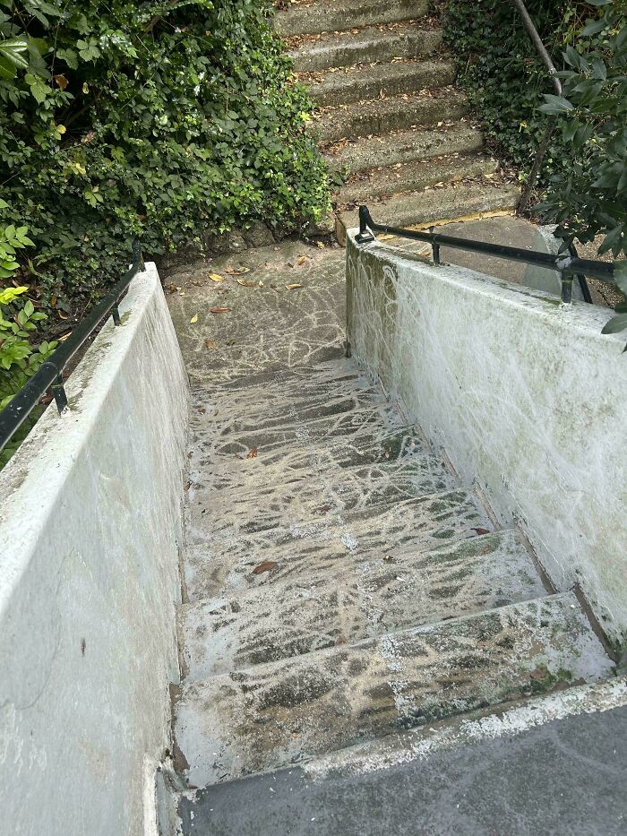 Escaleras sucias y descuidadas cubiertas de polvo y hojas, rodeadas de vegetación.