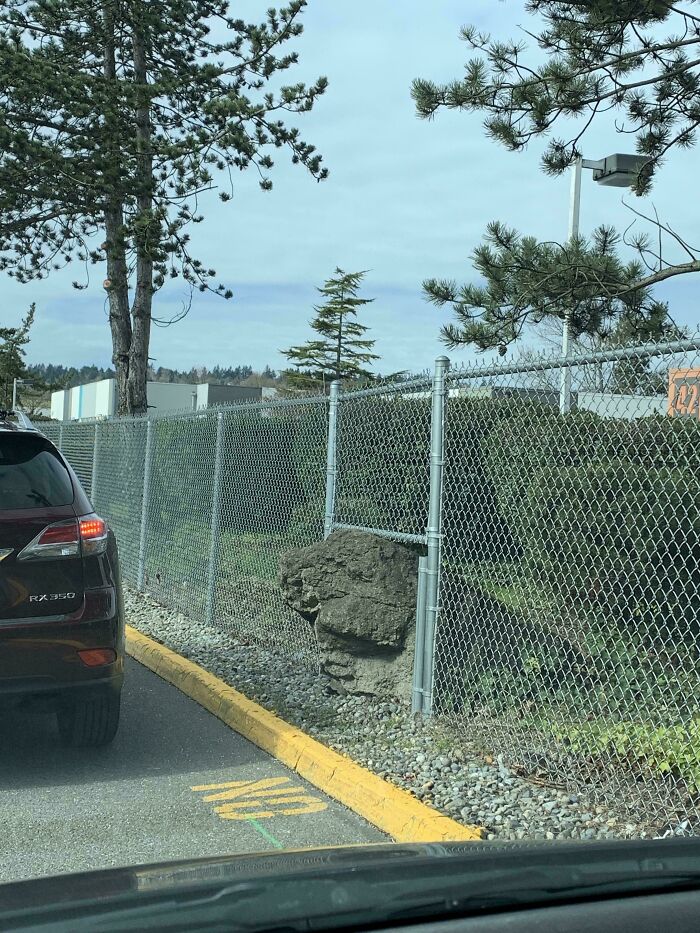 Fence Built Around A Rock In Costco Parking Lot