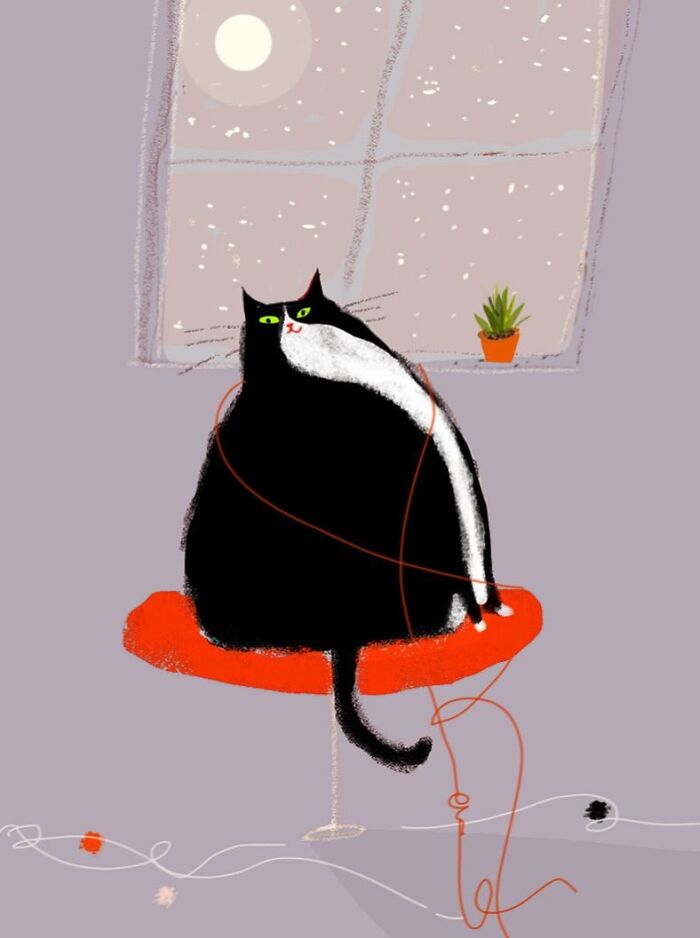 Cozy cat illustration by Jamie Shelman, featuring a black and white cat sitting on an orange chair by a moonlit window.