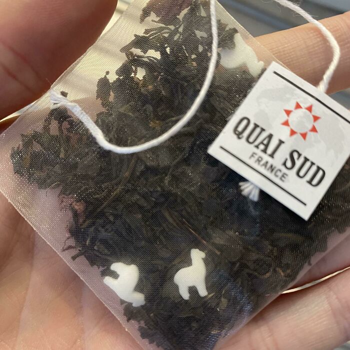 Tea bag with small white animal shapes inside, representing cool products with surprises.