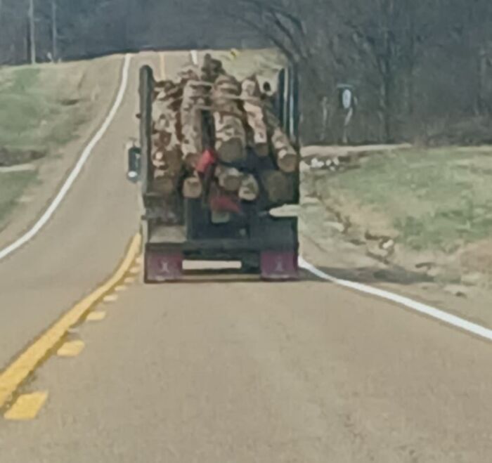 Truck carrying logs on a rural road, evoking Gen X humor.