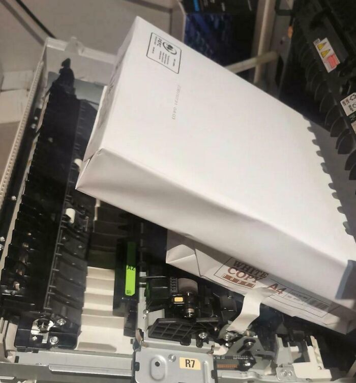 A New Guy Was Asked To Make Sure Printer Has Paper