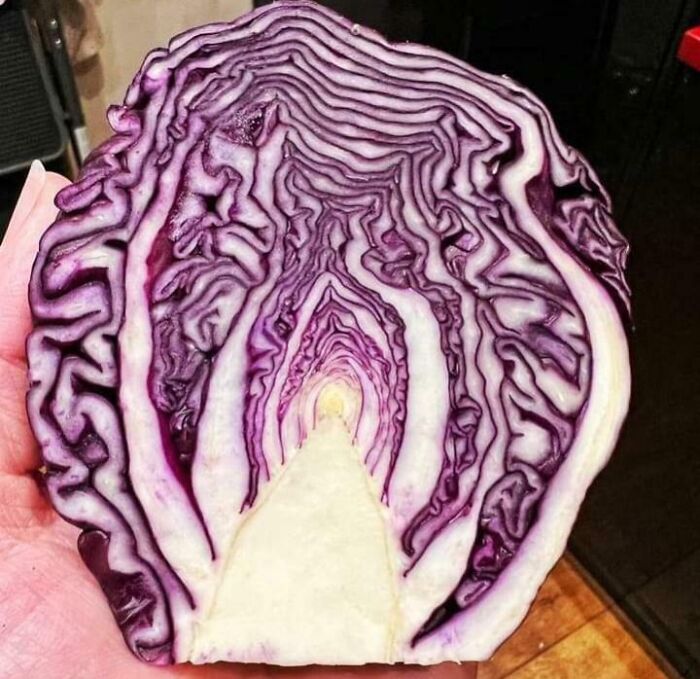 The Insides Of This Cabbage Look Like A Portal To Another Reality