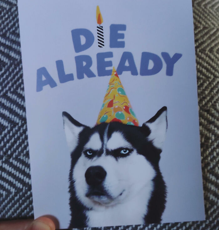 Husky with a birthday hat and humorous text, celebrating with hilarious flair.