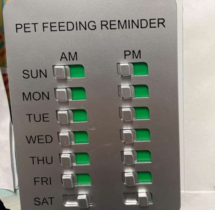 Pet feeding reminder chart with AM and PM slots for each day, to help you feel more put together in 2025.