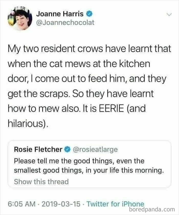 Science meme about crows learning to meow for food, with a tweet response.