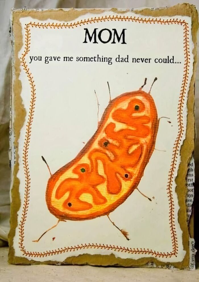 Science meme featuring a drawing of a mitochondrion with text about moms and dads.