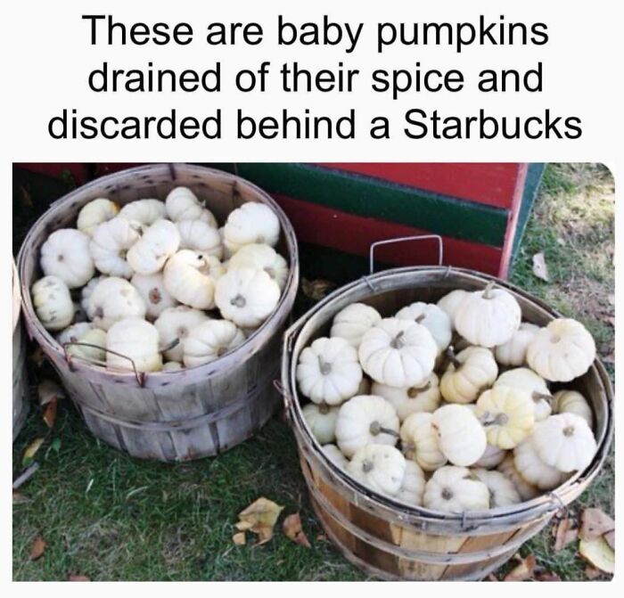 Baskets of small white pumpkins with humorous text about spice removal in a science meme format.