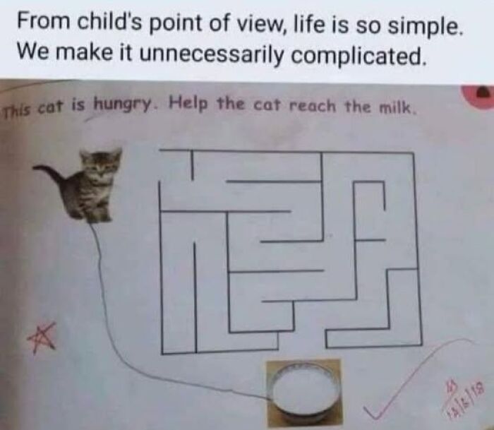 Science meme with a cat maze and caption about simplicity, humorously solved directly.