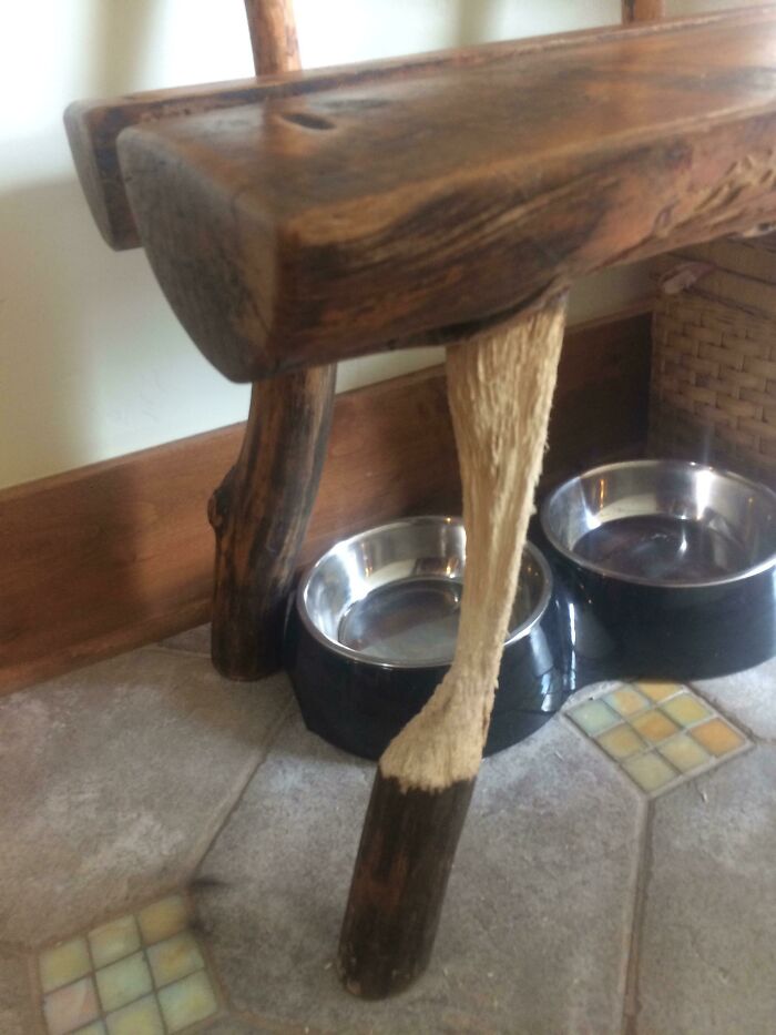 Worn-down wooden chair leg beside two dog bowls, illustrating effects of time.