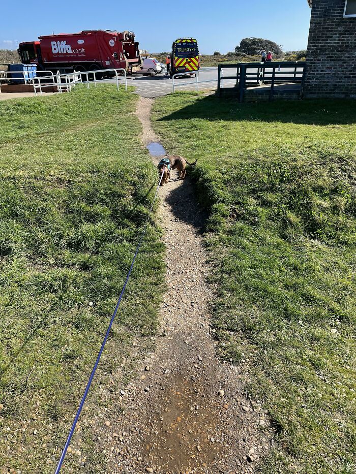 A worn-down path illustrates how time works, with a small dog walking along the trail, surrounded by greenery and parked trucks.