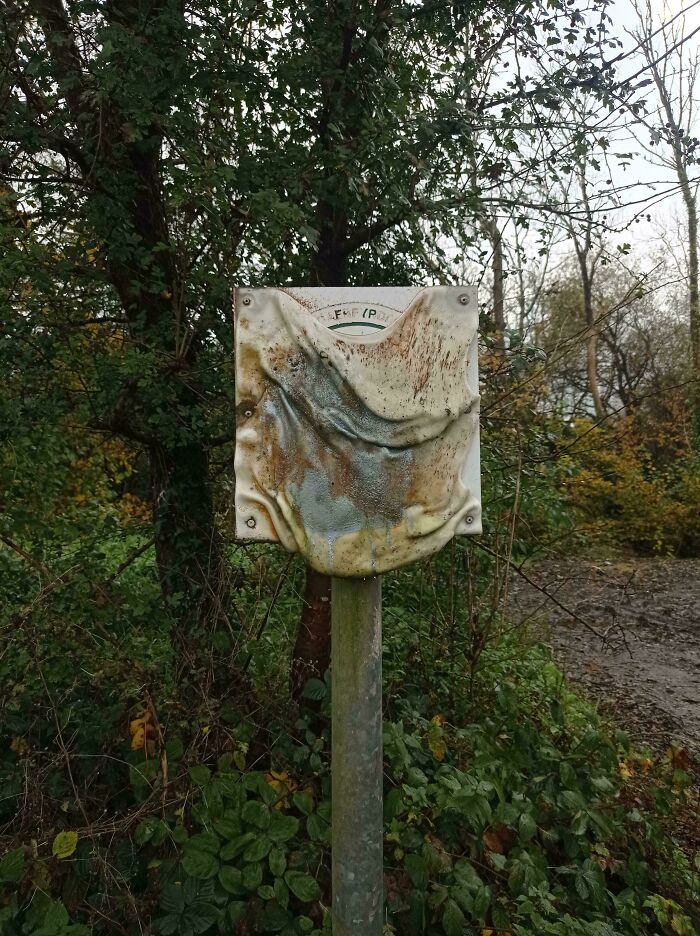 Rusty, worn-down metal sign shaped by time, surrounded by trees and foliage.