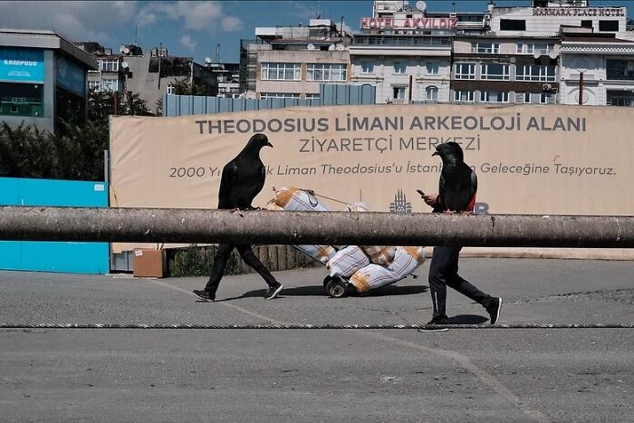 Street photographer captures hilarious illusion of two people with bird heads near archaeological site sign.