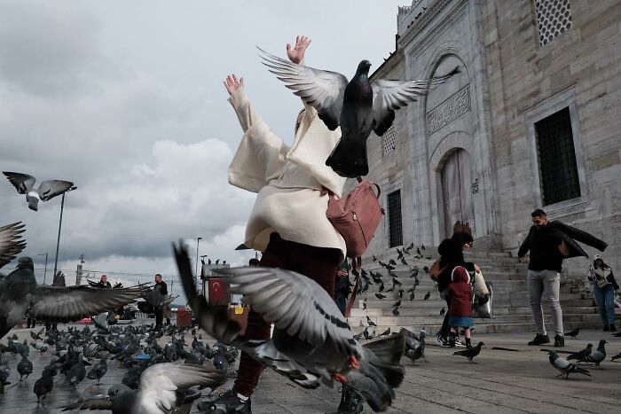 Street photographer captures a hilarious moment with pigeons flying around a person in front of a historic building.