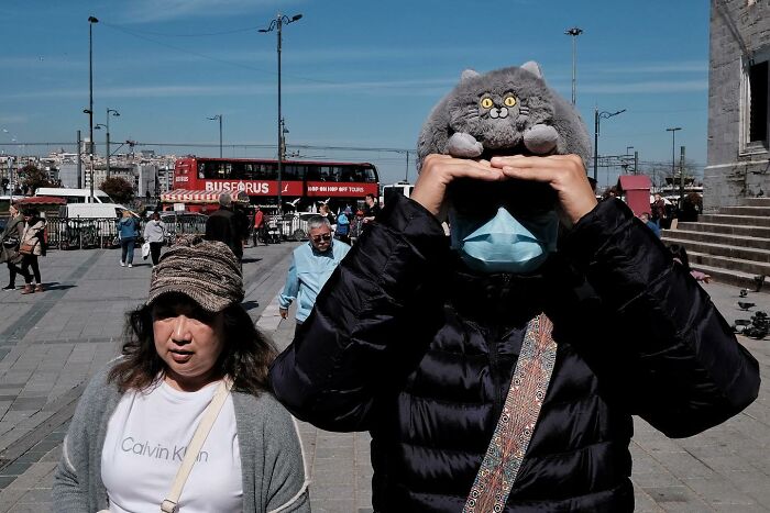 Street photographer captures a person with a cat plush hat and mask, standing next to a woman, with a bus in the background.