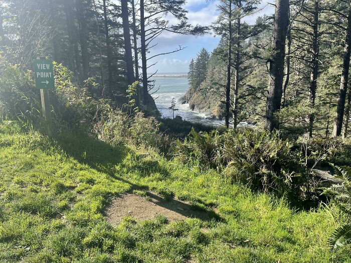 Viewpoint overlooking ocean through a wooded area, illustrating how time shapes coastal landscapes.