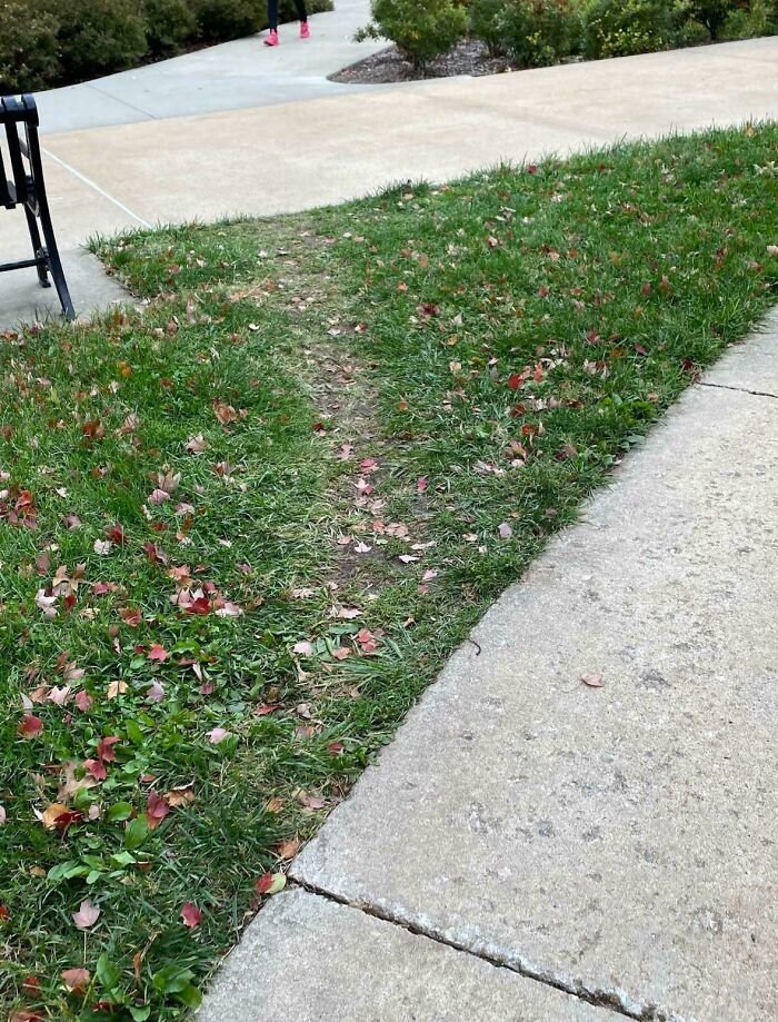 Worn-down grass path illustrates the passage of time, bordered by concrete sidewalk and green grass with fallen leaves.