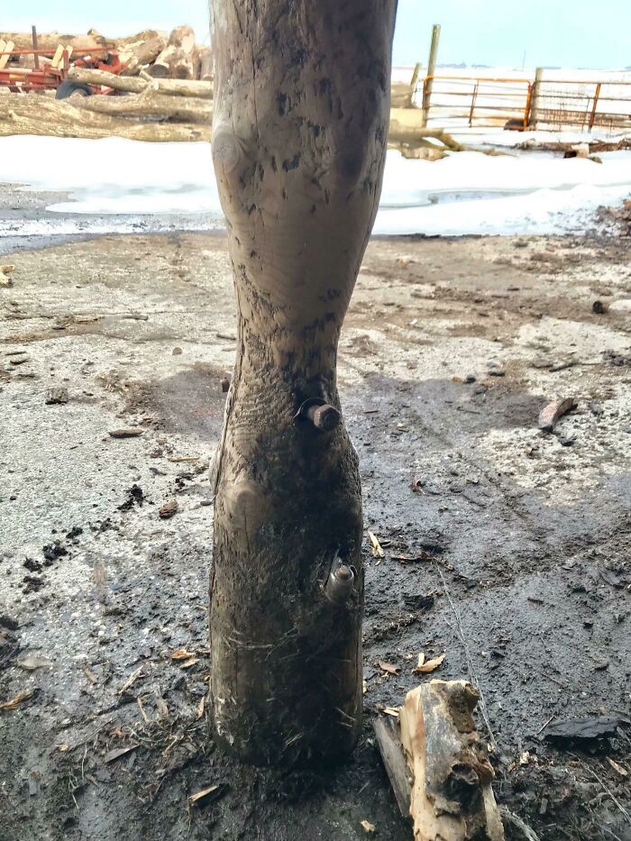 Weathered wooden post showing signs of wear over time, highlighting the effects of time.