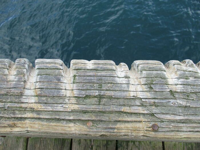 Worn-down wooden railing showing effects of time over water.