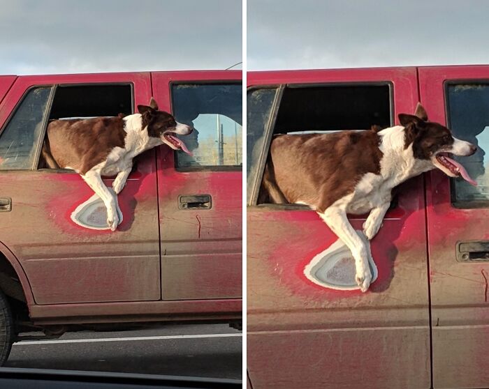 A dog hanging out of a car window has worn down the red paint around it, illustrating how time works.