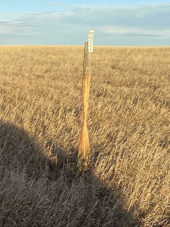 A twisted, worn-down wooden post in a grassy field illustrating the effects of time.