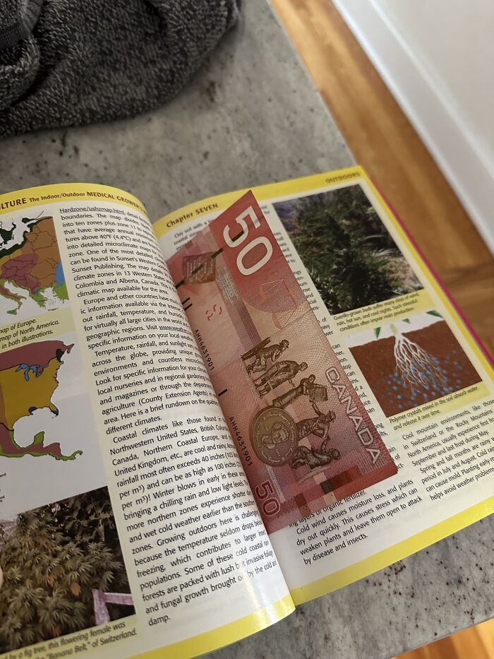 A $50 Canadian bill hidden in an open book on a marble surface, showcasing a surprising find.