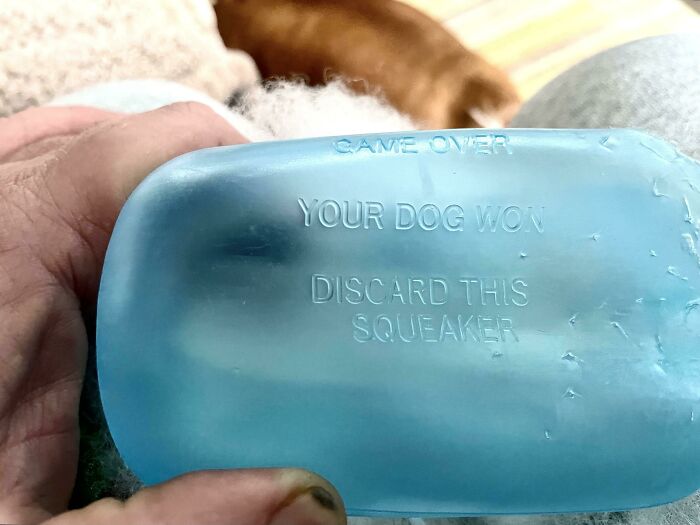 Blue dog toy squeaker with surprise message: “Game Over, Your Dog Won, Discard This Squeaker” - cool products theme.