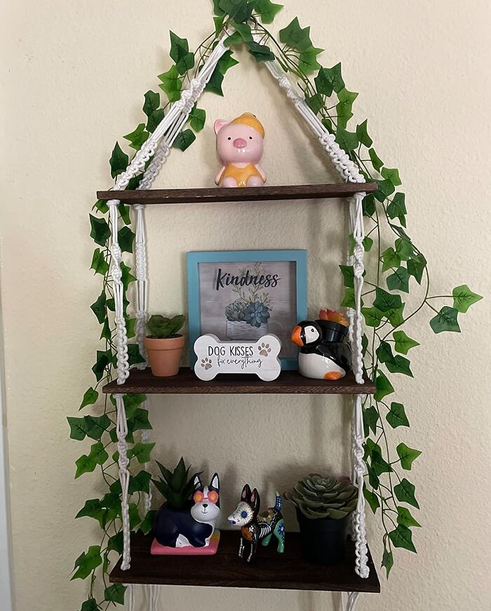 Decorative shelves with plants, toys, and a kindness sign, embodying dopamine decor style.