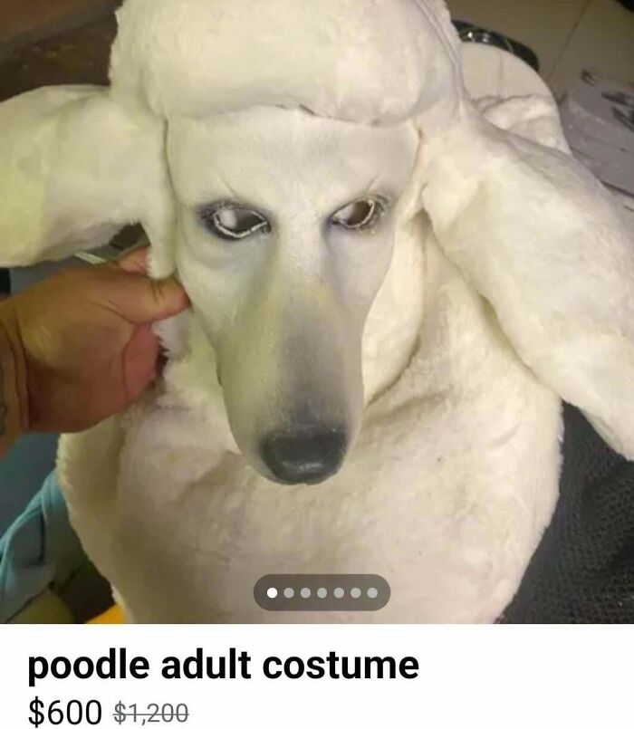 Creepy poodle adult costume for sale at $600, featuring realistic eyes and fur detail.