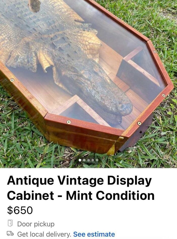 Taxidermy alligator in a vintage display case, listed for sale online as a creepy collectible item.