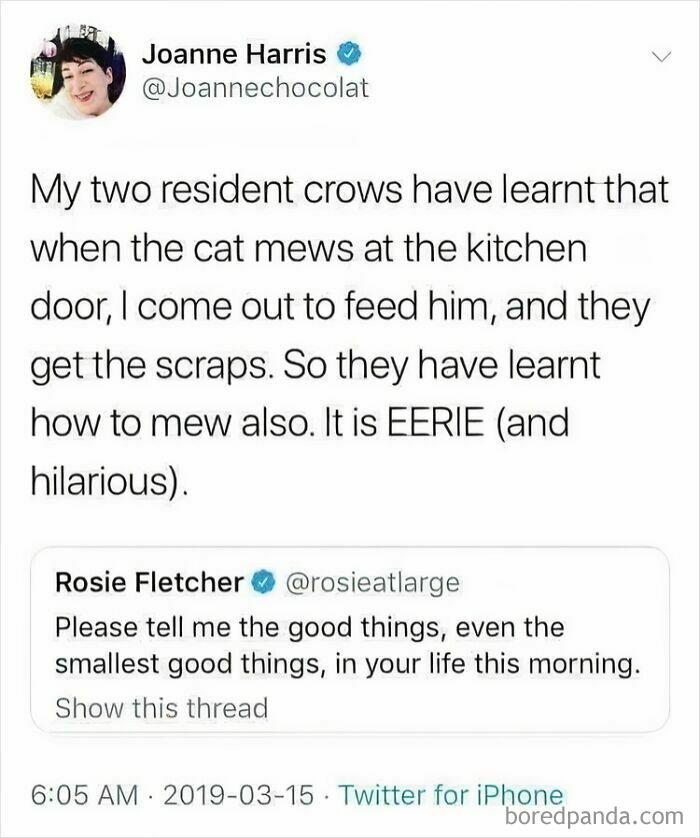 Science meme about crows learning to meow for food, with a tweet response.