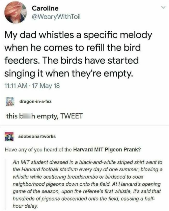 Science memes about birds learning a melody and a Harvard-MIT pigeon prank shared on a Facebook page.