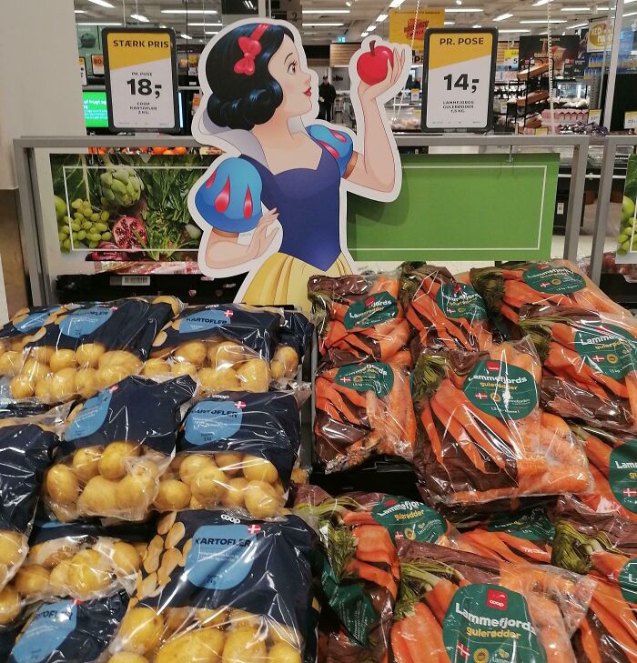 Snow White cutout in a store, surrounded by bags of potatoes and carrots, illustrating unfortunate public interior designs.