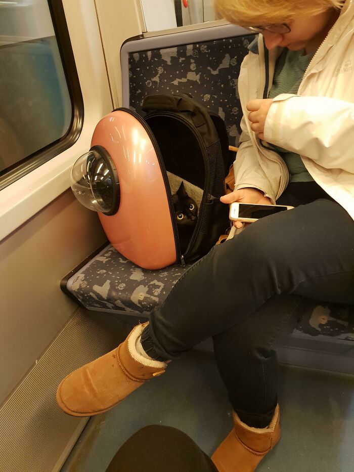 Passenger with a cat in a pink carrier, creating a funny train subway scene.