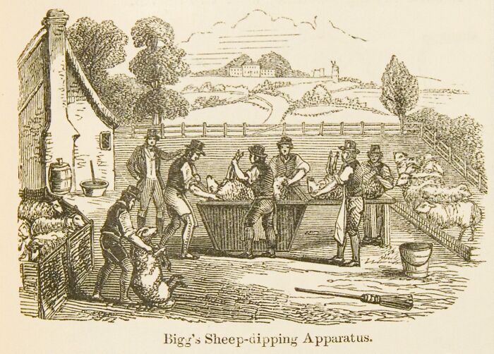 Historical invention depiction of Bigg's sheep-dipping apparatus with workers operating in a rural setting.