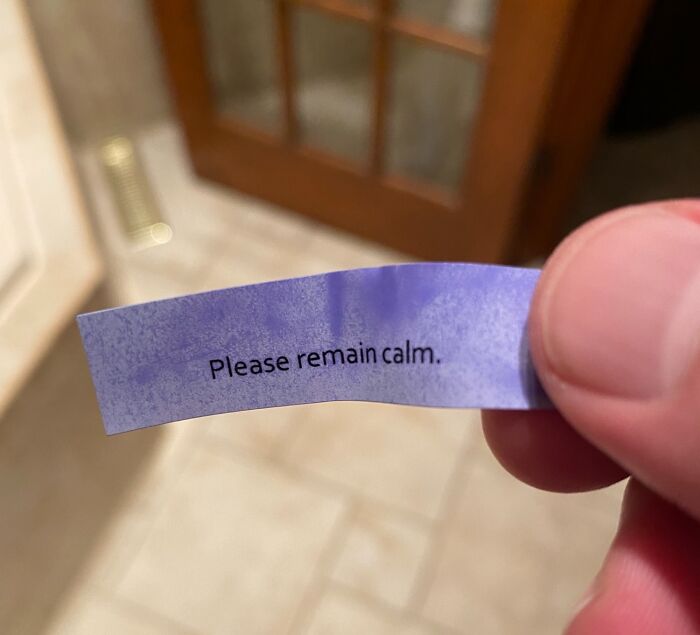 Fortune cookie message reading "Please remain calm," a cool surprise product.