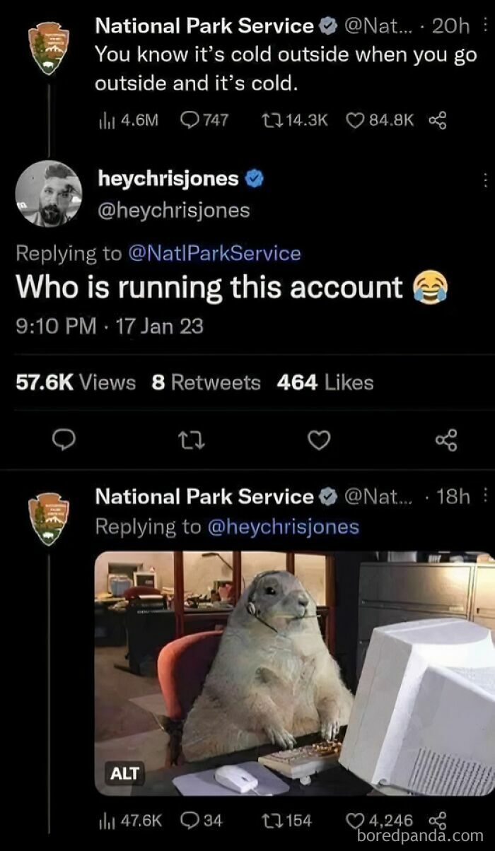 Wholesome animal meme featuring a groundhog at a computer, humorously responding to a tweet about cold weather.