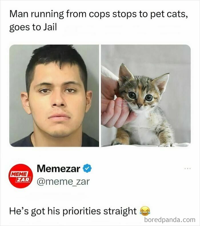 Man stops to pet a kitten while running from police, depicted in a humorous meme about animal antics.