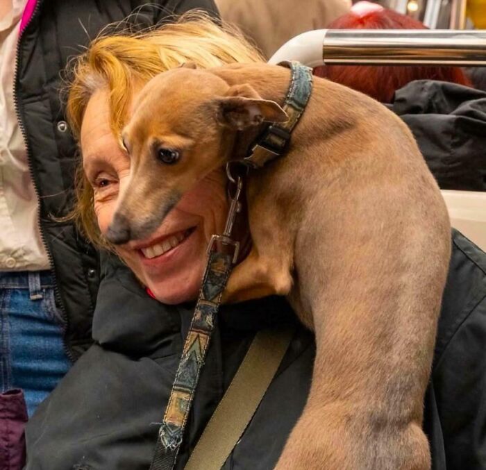 Woman smiling with a dog wrapped around her neck, creating a confusing perspective.