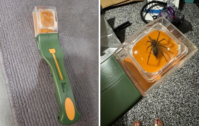 A green insect-catching tool with a clear container holding a spider, showcasing a borderline genius design.