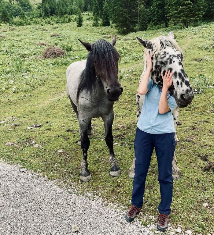 Confusing perspective with a person appearing to have a horse's head in a grassy field.