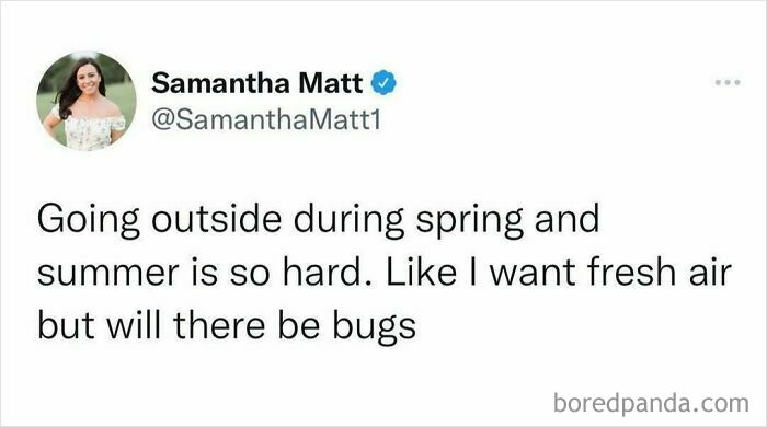 Tweet about millennials weighing fresh air vs. bugs in spring and summer.