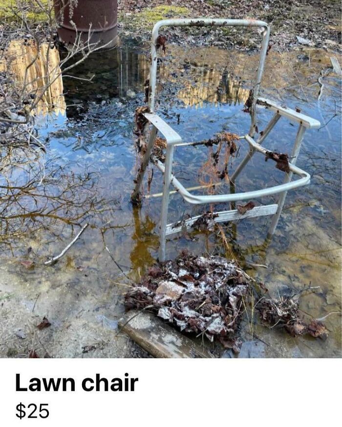 Old lawn chair submerged in murky water, surrounded by debris and rust. Creepy things sell online.