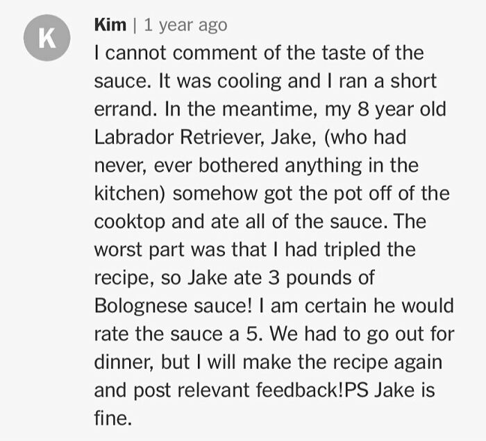 Unhinged cooking comment about a dog named Jake eating three pounds of Bolognese sauce while left unattended.