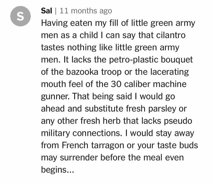 Comment humorously comparing cilantro to toy soldiers, part of unhinged cooking and recipe discussions.