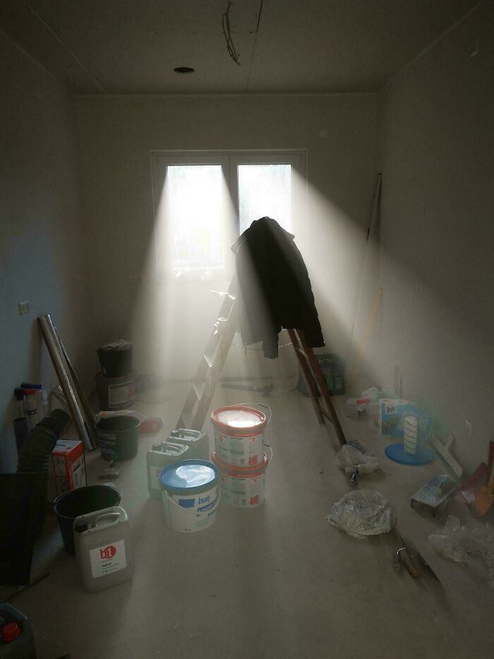 Sunlight beams onto a ladder in a room, creating a scene resembling a Renaissance painting.