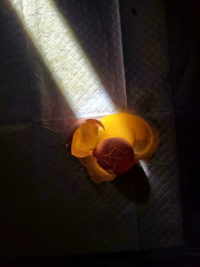 Cracked eggshell illuminated by sunlight, resembling a Renaissance painting with dramatic lighting.