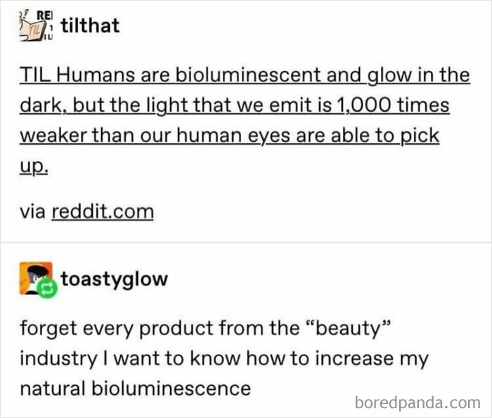 Bizarre sentence about human bioluminescence and beauty products in a humorous online exchange.